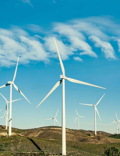 LWP Capital Sustainable Investing 01